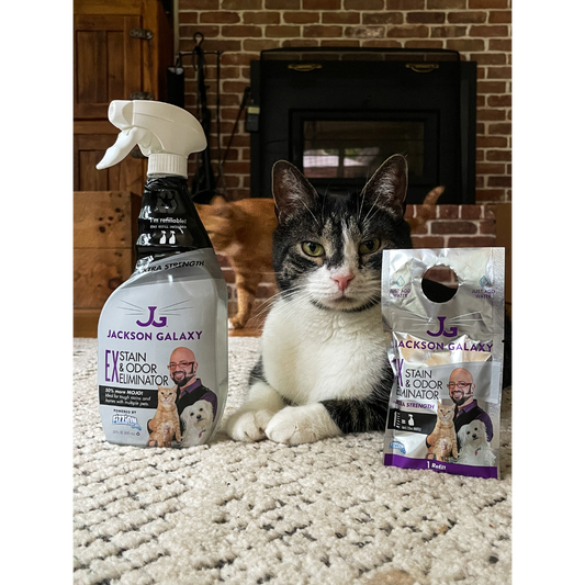 EX Stain & Odor Eliminator (23oz) - Pet Odor Eliminator