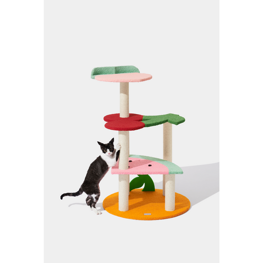 Fruit Frenzy Cat Climber Tree by Vetreska