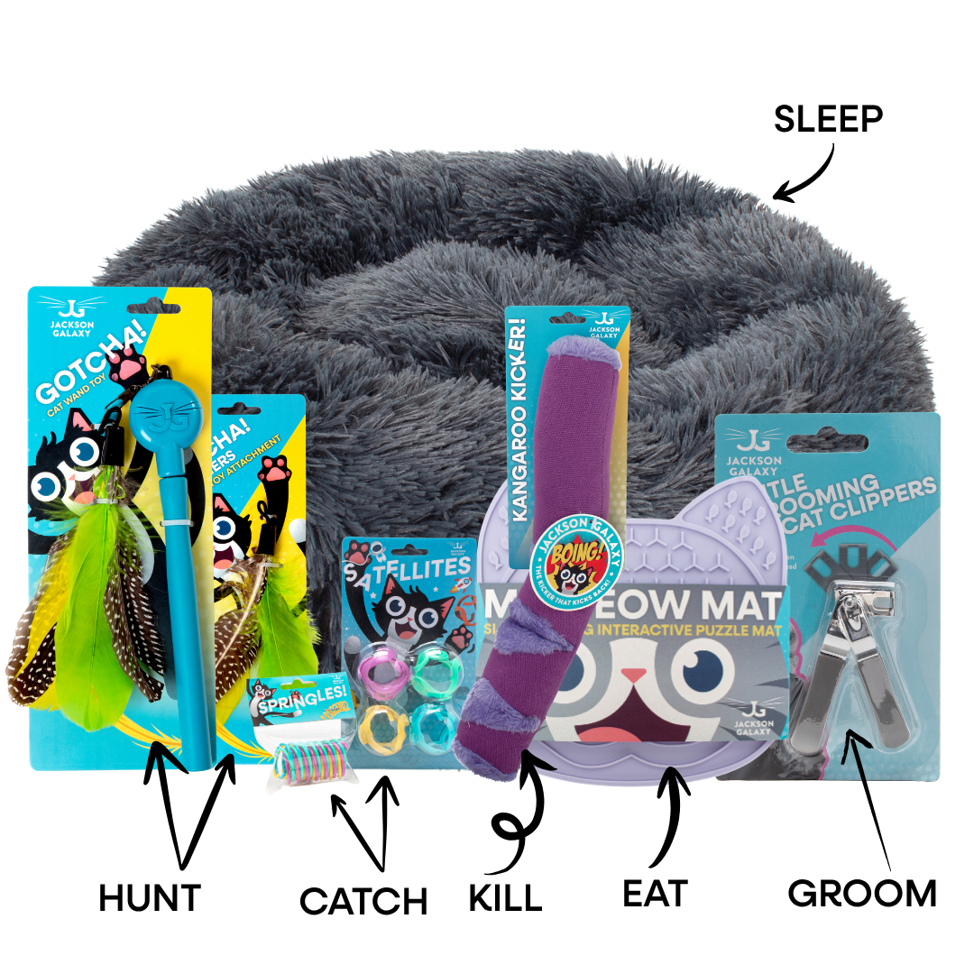 Hunt, Catch, Kill, Eat, Groom, Sleep Bundle