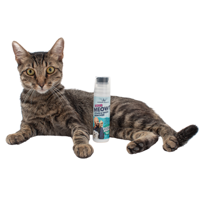Scrub Meowt! Stain & Odor Remover