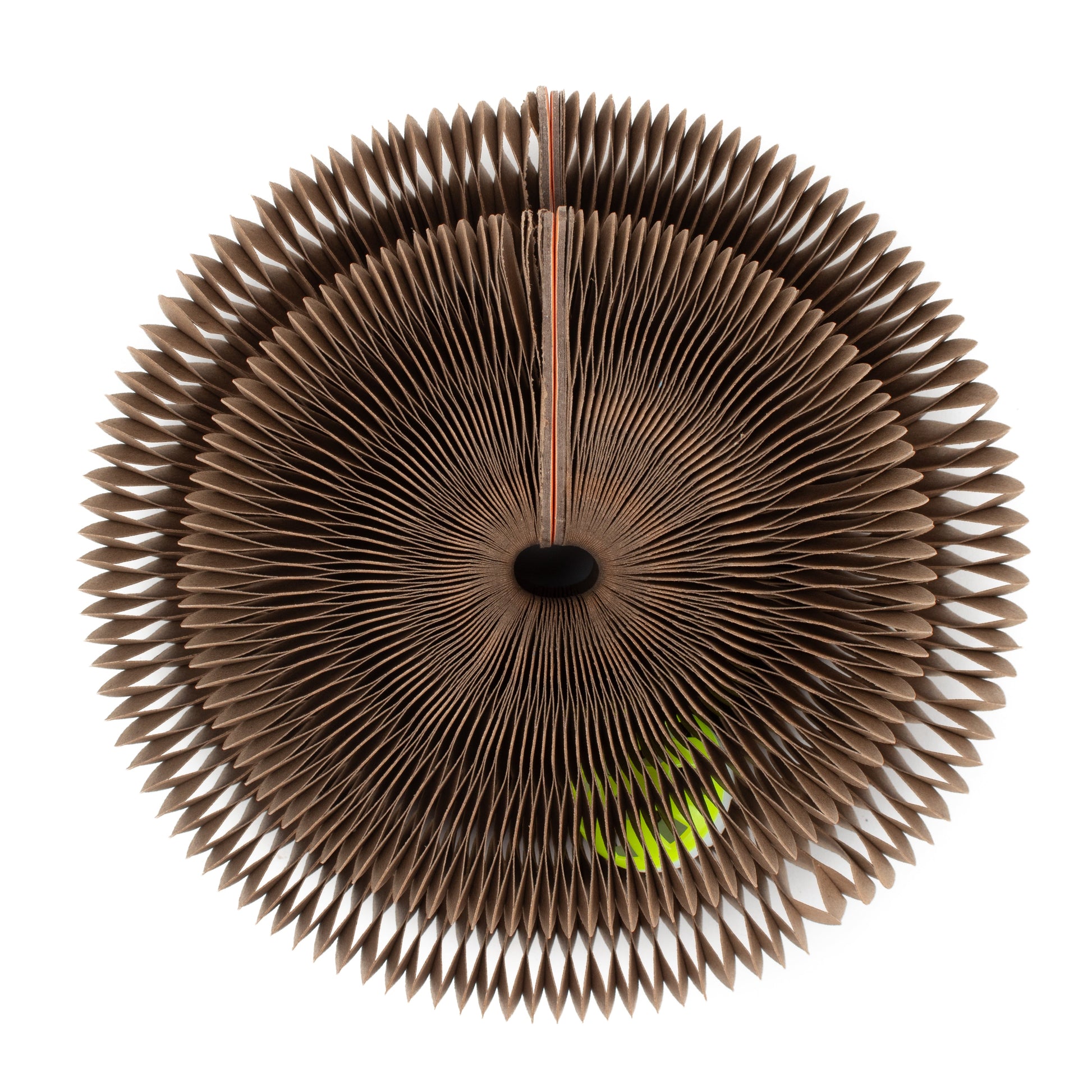 Cardboard Accordion Cat Toy