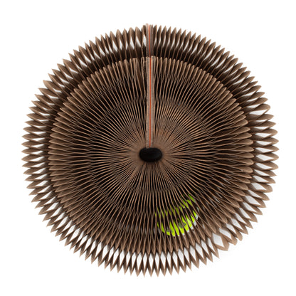 Cardboard Accordion Cat Toy