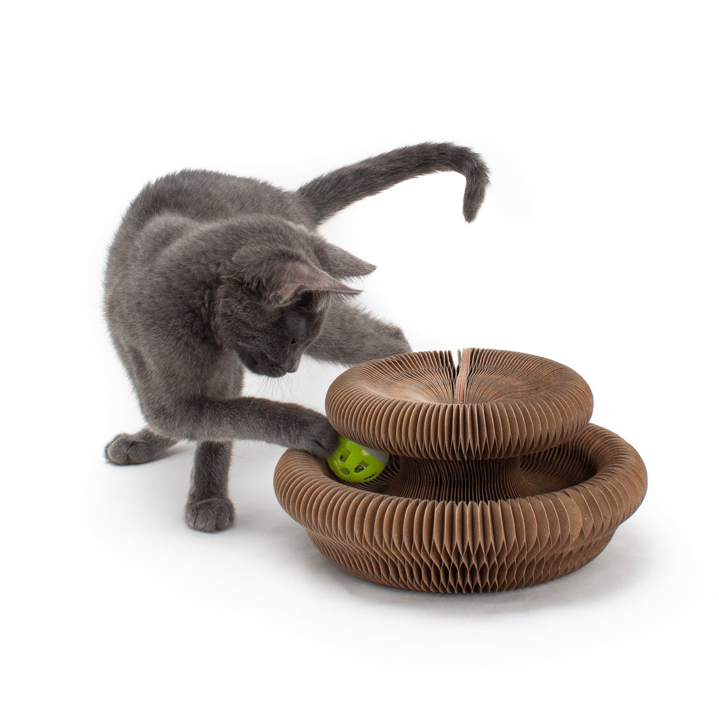 Cardboard Accordion Cat Toy