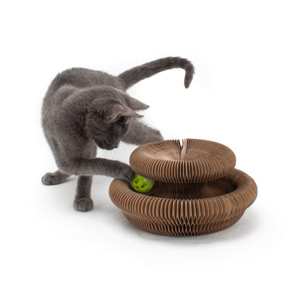 Cardboard Accordion Cat Toy