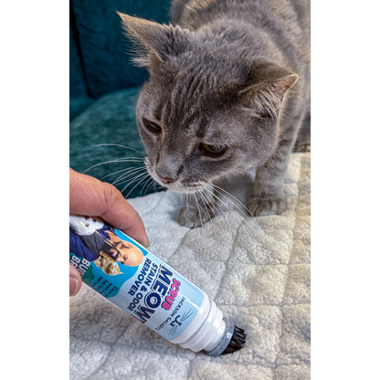 Scrub Meowt! Stain & Odor Remover