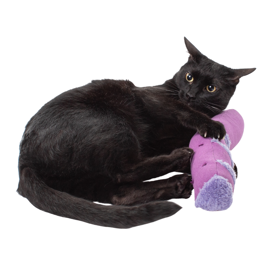 Hunt, Catch, Kill, Eat, Groom, Sleep Bundle
