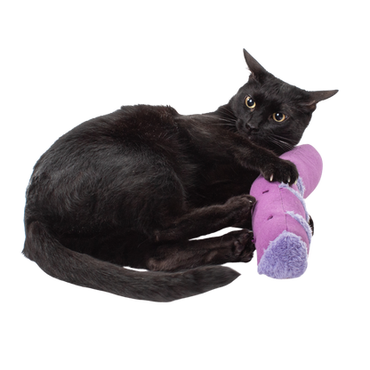 Hunt, Catch, Kill, Eat, Groom, Sleep Bundle