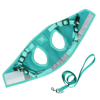 The Jackson Galaxy x Travel Cat Harness & Leash Set