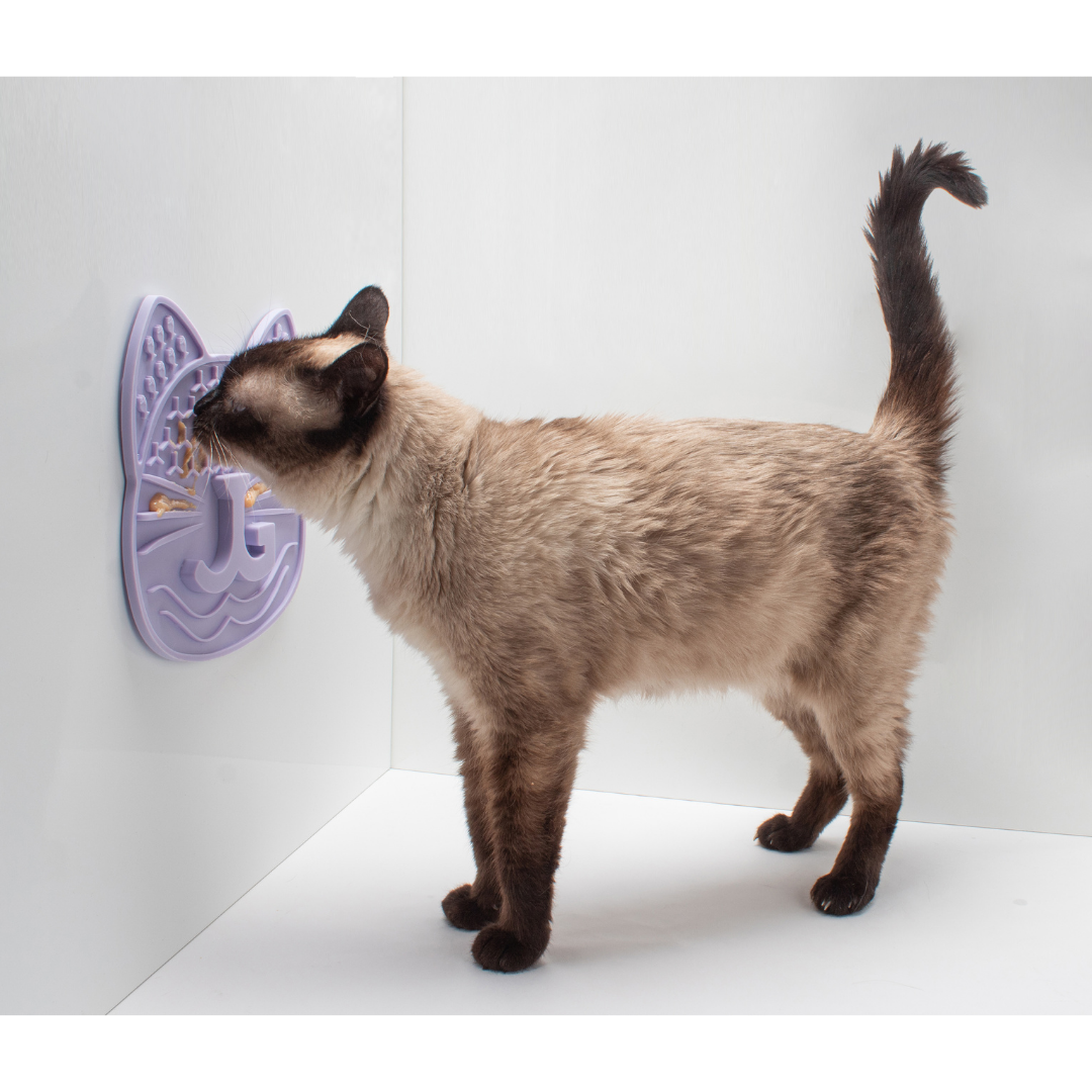 Hunt, Catch, Kill, Eat, Groom, Sleep Bundle