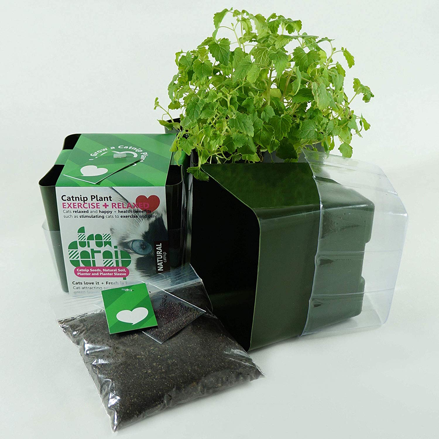 Grow Your Own Catnip Kit by Three Farms