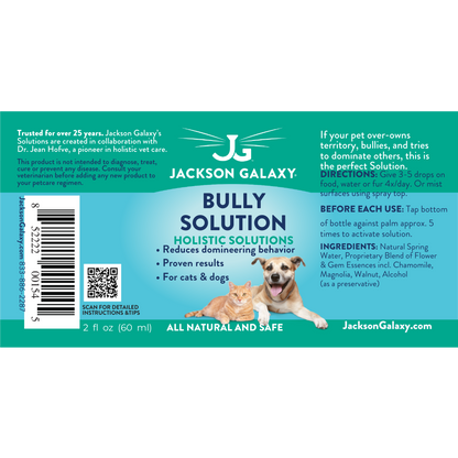 Bully Solution
