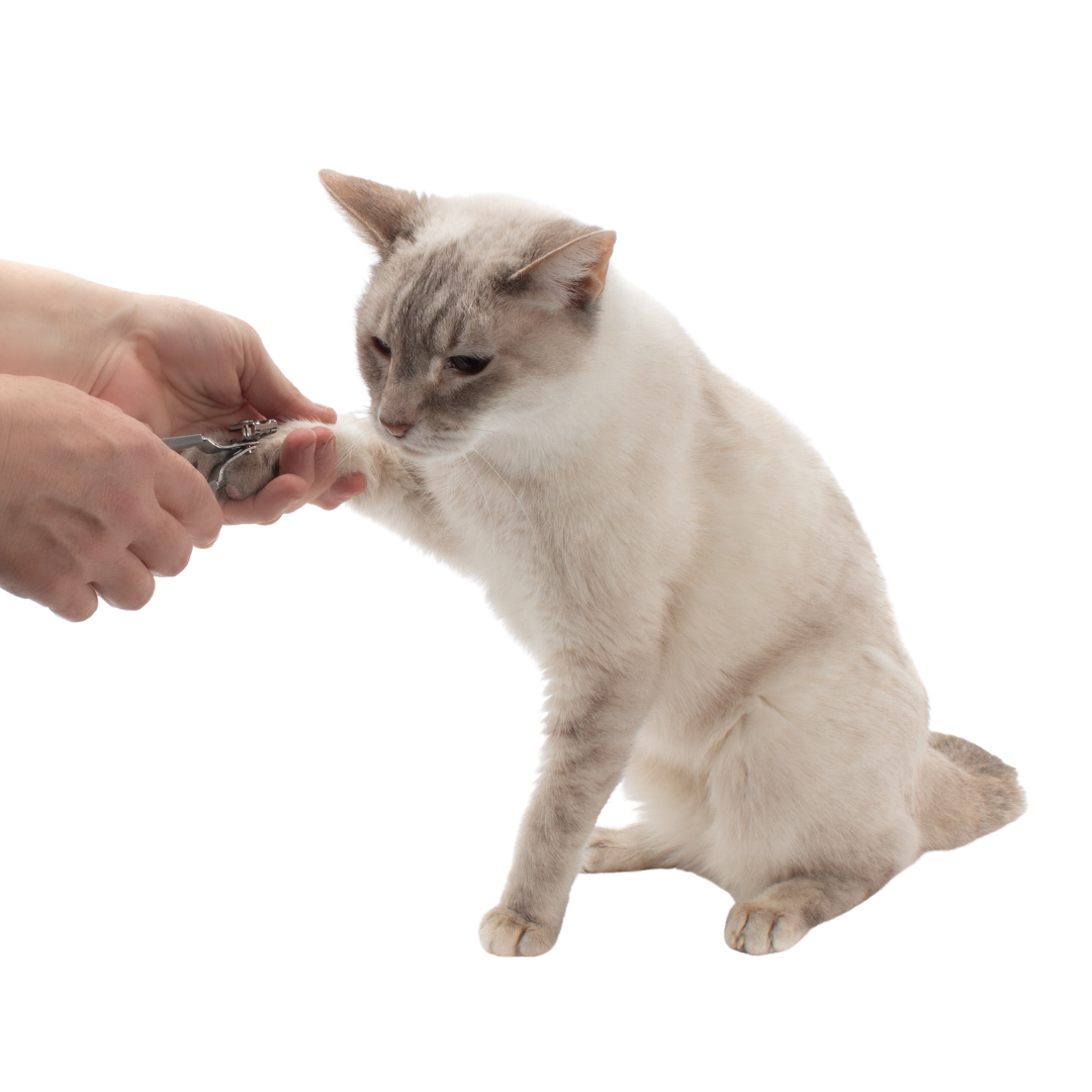 Nail Grooming Bundle for Cats
