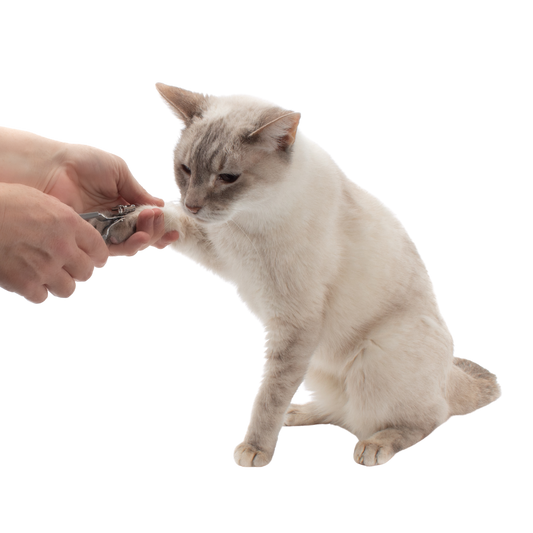 Nail Grooming Bundle for Cats