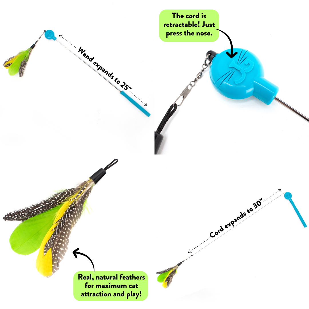 Hunt, Catch, Kill, Eat, Groom, Sleep Bundle