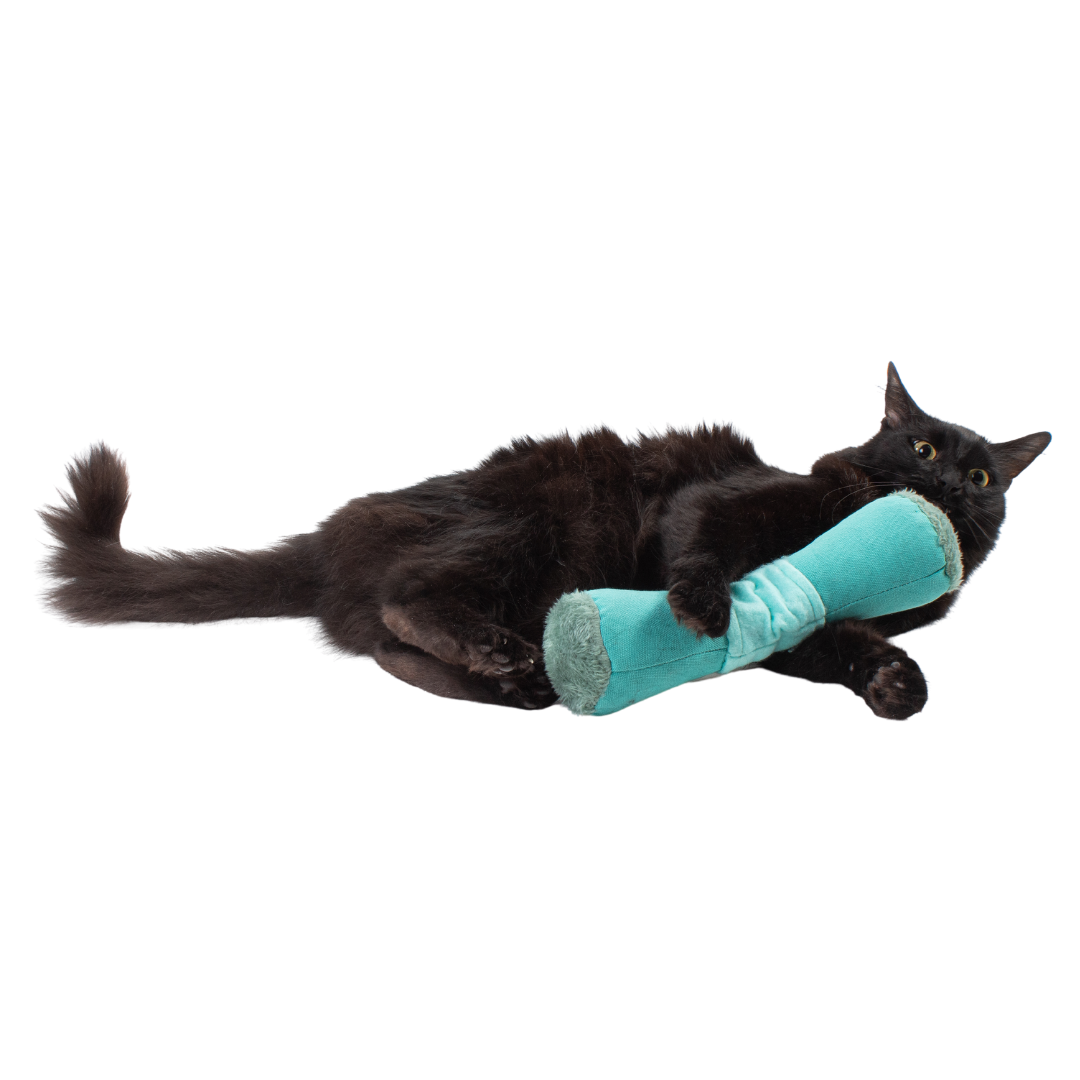 Ultimate Toy Joy Cat Bundle