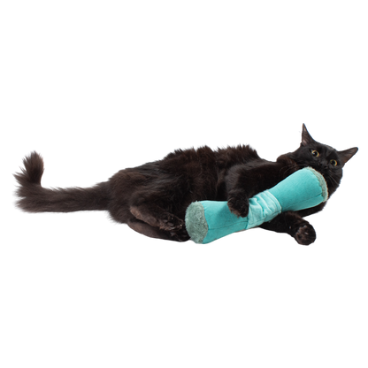 Ultimate Toy Joy Cat Bundle