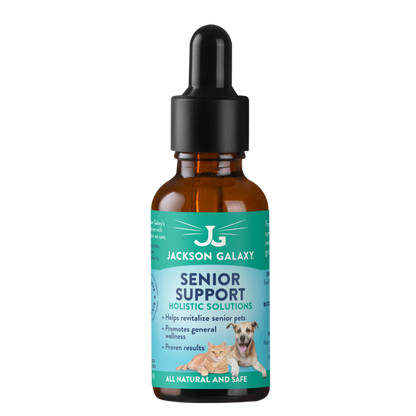 Senior Support (Formerly Graceful Aging)