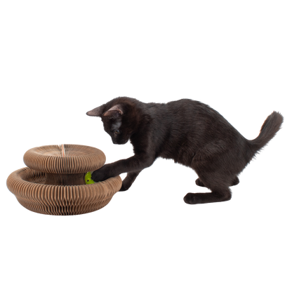 Cardboard Accordion Cat Toy