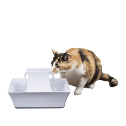 Pagoda Pet Fountain, White by PetSafe Drinkwell