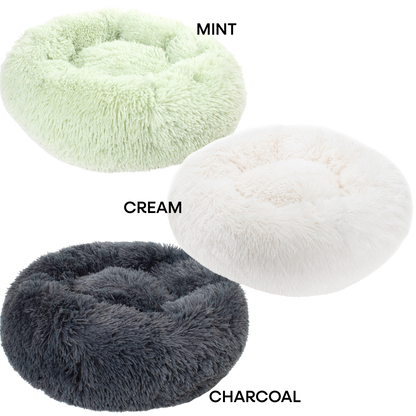 The Wallflower Bundle (For Shy Cats!)