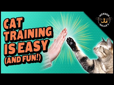 Pawsitive Reinforcement Training Clicker